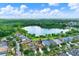 An aerial view of residential properties neighboring a lake and a sprawling green forest at 20106 Bending Creek Pl, Tampa, FL 33647