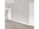 Hallway featuring neutral walls, carpet, and white doors at 20106 Bending Creek Pl, Tampa, FL 33647