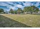 Lawn with trees at 2073 Denmark St # 9, Clearwater, FL 33763