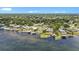 Aerial view showcasing lakefront homes with private docks surrounded by lush greenery at 22852 Fern Ct, Land O Lakes, FL 34639