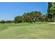 Scenic golf course view with mature trees and lush green fairway at 2517 Bucknell Dr, Valrico, FL 33596