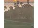Beautiful sunset view over the water with palm trees, grassy land and a large sun at 2620 Cove Cay Dr # 704, Clearwater, FL 33760
