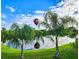 Beautiful lake view with palm trees and a colorful hot air balloon in the sky at 31747 Loch Aline Dr, Wesley Chapel, FL 33545