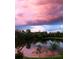 Stunning lake view reflecting a vibrant pink and purple sunset sky at 31747 Loch Aline Dr, Wesley Chapel, FL 33545
