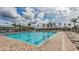 Resort-style community pool with lounge chairs and palm trees under a sunny sky at 3446 Suncoast Plains Dr, Odessa, FL 33556