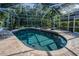 Beautiful screened-in pool area with spa, deck chairs, and lush landscaping at 4962 Turtle Creek Trl, Oldsmar, FL 34677