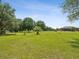 Expansive yard with lush green grass, mature trees, and a home featuring a screened-in pool area at 5100 Lockhart Rd, Brooksville, FL 34602