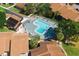 Aerial view of community pool with multiple people swimming surrounded by greenery at 6324 Newtown Cir # 24B1, Tampa, FL 33615
