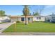 A quaint house featuring a beautiful lawn and a palm tree as a focal point in the front yard at 6334 Hyperion Dr, Port Richey, FL 34668