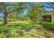 Expansive backyard with lush greenery and mature trees, offering a serene and private outdoor setting at 70 Cypress Pl, Oldsmar, FL 34677