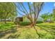 Lush backyard featuring a screened-in porch and mature trees, creating a peaceful outdoor space at 70 Cypress Pl, Oldsmar, FL 34677