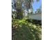 Lush backyard featuring abundant greenery and mature trees, offering a private outdoor space at 708 Keeling St, Brooksville, FL 34601