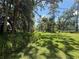 An expansive green yard filled with trees and plants at 708 Keeling St, Brooksville, FL 34601