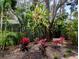 Beautifully landscaped backyard with colorful plants and a rustic wooden fence at 8260 32Nd N Ave, St Petersburg, FL 33710