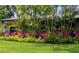 Colorful tropical plants, including bromeliads and palms, adorn the front garden of this lovely home at 8260 32Nd N Ave, St Petersburg, FL 33710