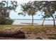 A serene view of the water is framed by the lush foliage of Abercrombie Park at 8260 32Nd N Ave, St Petersburg, FL 33710