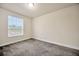 Bright bedroom with large window, neutral carpeting and paint at 1229 Hillandale Reserve Dr, Tampa, FL 33613