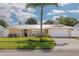 Charming single-story home with a metal roof, lush green lawn, and a beautiful palm tree in the front yard at 1263 Overcash Dr, Dunedin, FL 34698