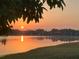 Scenic view of the sunrise over a serene lake with golden reflections, framed by foliage at 16515 Nikki Ln, Odessa, FL 33556