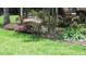 Two sandhill cranes foraging for food in a garden with pink flowers and lush green grass at 16515 Nikki Ln, Odessa, FL 33556