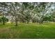 Lush green lawn in the park, lined with mature trees at 1766 Hitching Post Ln, Dunedin, FL 34698