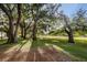 Expansive grassy area in the park, shaded by tall, mature trees at 1766 Hitching Post Ln, Dunedin, FL 34698