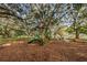 Brightly colored playground with slides and climbing structures under the shade of mature trees at 1766 Hitching Post Ln, Dunedin, FL 34698