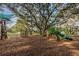 Well-equipped playground with various climbing structures, slides, and play areas at 1766 Hitching Post Ln, Dunedin, FL 34698