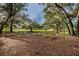 Swings in the community playground, surrounded by shade trees at 1766 Hitching Post Ln, Dunedin, FL 34698