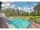 Screened-in pool and spa with brick-paver trim provides a private oasis in a backyard surrounded by lush greenery at 19803 Prince Benjamin Dr, Lutz, FL 33549