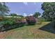 Lush backyard featuring vibrant bougainvillea and a well-maintained lawn at 2212 Portside Psge, Palm Harbor, FL 34685