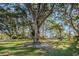 Beautiful green lawn with mature trees shading the area and a glimpse of homes in the distance on a clear day at 2212 Portside Psge, Palm Harbor, FL 34685