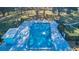 Aerial view of the rectangular community pool with lounge chairs surrounded by mature trees and hedges at 2212 Portside Psge, Palm Harbor, FL 34685