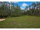 Expansive backyard with lush lawn backing onto a serene wooded area creating privacy at 27338 Elkwood Cir, Wesley Chapel, FL 33544