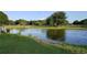 Horses wading in a large pond on a grassy property at 439 Corbett Rd, Lithia, FL 33547