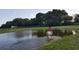 riding a horse in a large, grassy pond with green trees in the background at 439 Corbett Rd, Lithia, FL 33547
