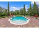 Inviting pool and spa surrounded by a brick patio and lush landscaping, perfect for outdoor relaxation and entertaining at 7713 Still Lakes Dr, Odessa, FL 33556