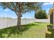 Fenced backyard with lush green grass and a mature tree offers a private outdoor space for Gathering activities at 10536 Shady Preserve Dr, Riverview, FL 33579