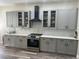 This is a kitchen with gray cabinets, stainless steel appliances, and quartz countertops at 10826 Rain Lilly Pass, Land O Lakes, FL 34638