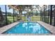 Inviting screened-in pool area with a basketball hoop and serene backyard views with string lights overhead at 12808 Killarney Ct, Odessa, FL 33556