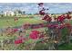 Scenic view of property showcasing landscaping and the residence at 14510 Mj Rd, Myakka City, FL 34251