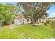 Backyard featuring lush lawn, mature trees, and a shed for extra storage at 1880 Oak Bark Ct, Clearwater, FL 33763