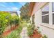Back exterior featuring a patio and well-maintained landscaping at 1880 Oak Bark Ct, Clearwater, FL 33763