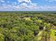 Breathtaking aerial view of a lush, green landscape with scattered houses and a vast forest under a partly cloudy blue sky at 25623 Inkwood Pl, Wesley Chapel, FL 33544