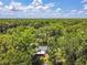Overhead shot of a quaint home surrounded by lush trees, offering a sense of privacy and natural beauty under a blue sky at 25623 Inkwood Pl, Wesley Chapel, FL 33544