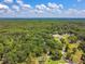 Sprawling landscape with mature trees, showcasing the property's private and secluded setting at 25623 Inkwood Pl, Wesley Chapel, FL 33544