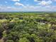 Expansive aerial shot showcasing a mix of homes nestled within a lush, green landscape, under a partly cloudy sky at 25623 Inkwood Pl, Wesley Chapel, FL 33544