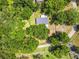 Overhead view of a home nestled among mature trees, showcasing its serene and private setting at 25623 Inkwood Pl, Wesley Chapel, FL 33544