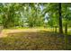 View of backyard and fence with scattered leaves and lush greenery surrounding the perimeter at 25623 Inkwood Pl, Wesley Chapel, FL 33544