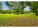 Lush green front yard with mature trees offers shade and a serene setting at 25623 Inkwood Pl, Wesley Chapel, FL 33544
